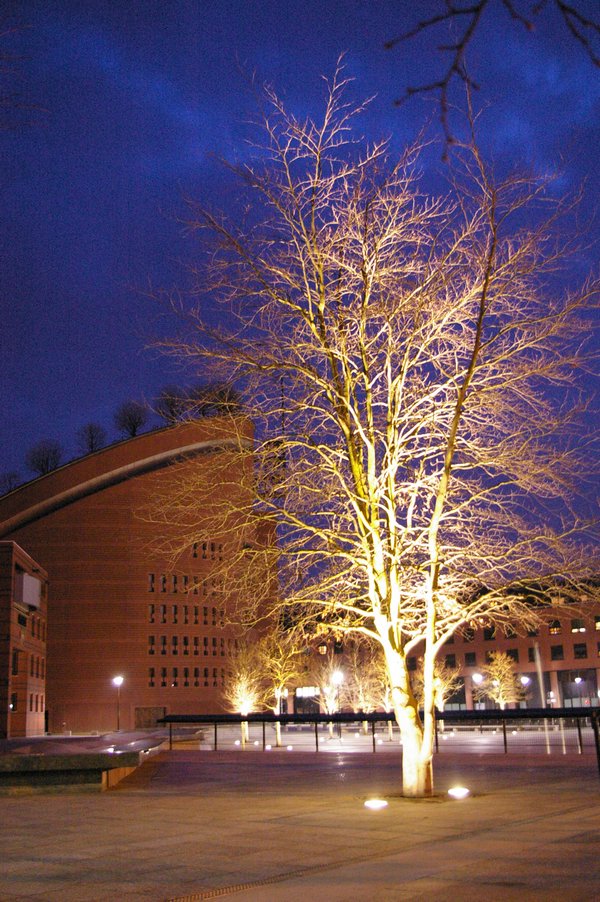 La place des droits de l homme et du citoyen de Nuit: La Place des Droits de l Homme et du Citoyen 032